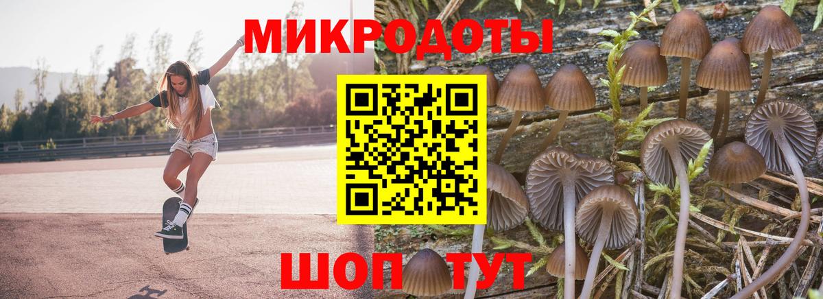 Галлюциногенные грибы ЛСД Тара