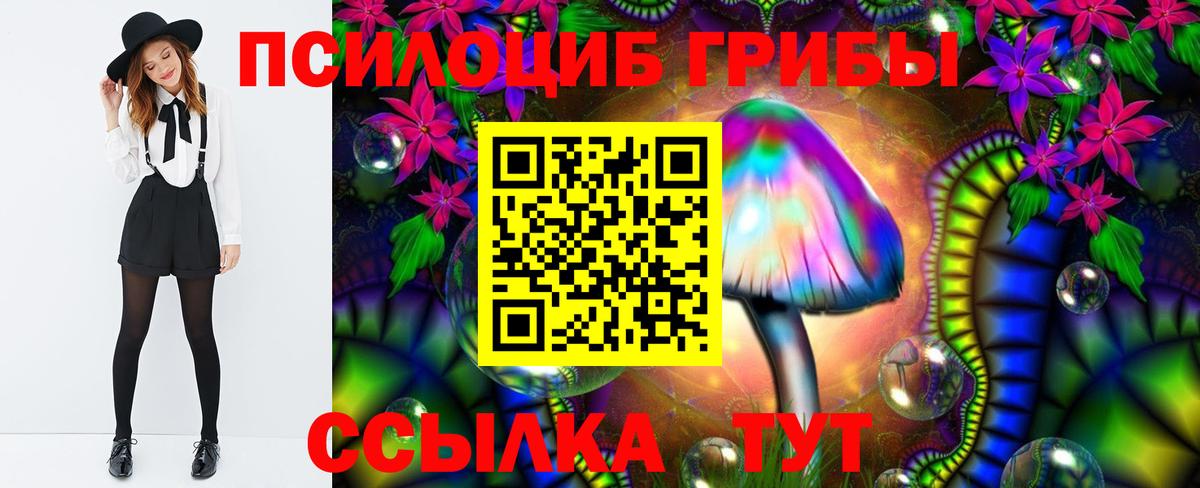 где купить   Галлюциногенные грибы MAGIC MUSHROOMS  Тара  Вход с VPN  Псилоцибиновые грибы Magic Shrooms 