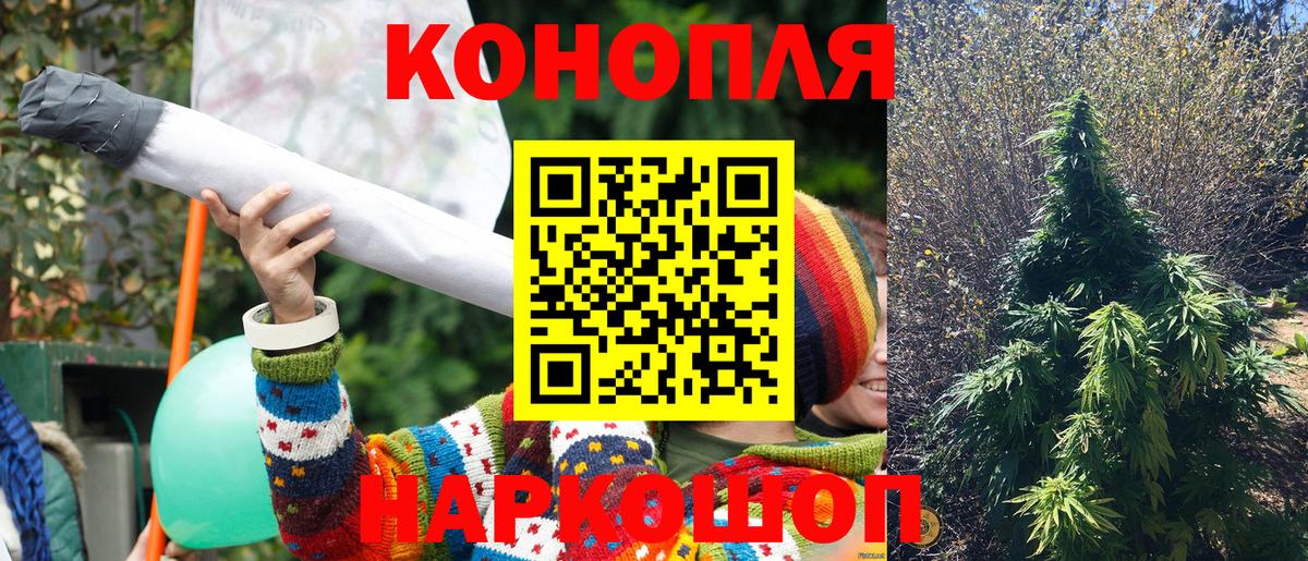 Каннабис MAZAR  Марихуана сатива  Шишки марихуана планчик  Тара  Вход с VPN  Шишки марихуана сатива 